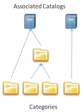 Categories and Catalogs hierarchy