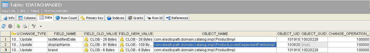 Example of an audit data